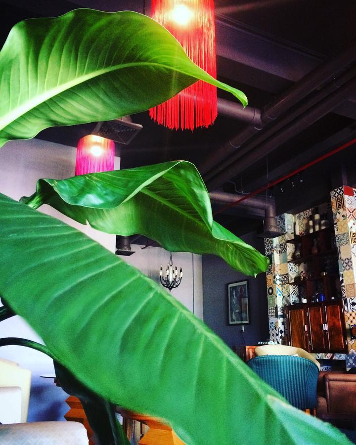 Geminai Hotel&Café Dong Hoi Extérieur photo